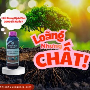 pH CARE Thiên Hữu pha loãng 1/2000 nhưng cực kỳ chất lượng cho rễ cây